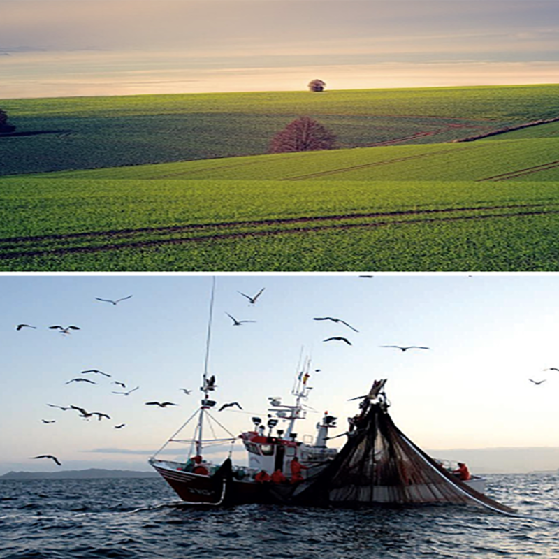 RSPP/ASPP - MODULO B - SP1 (AGRICOLTURA, PESCA)