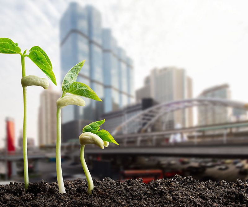 LE ENERGIE RINNOVABILI: PATRIMONIO IDRICO E TUTELA DEL TERRITORIO